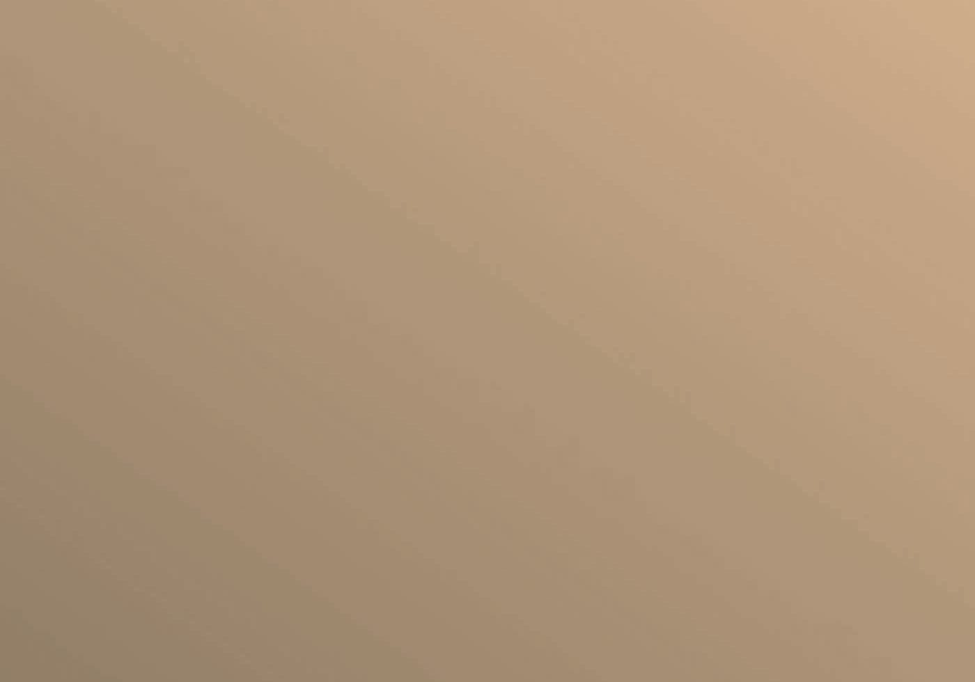 The Leadership Mindset - Discipline | Consistency | Focus